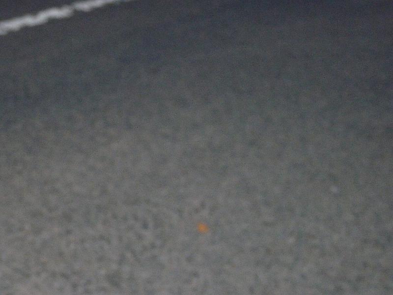 P1510059.JPG