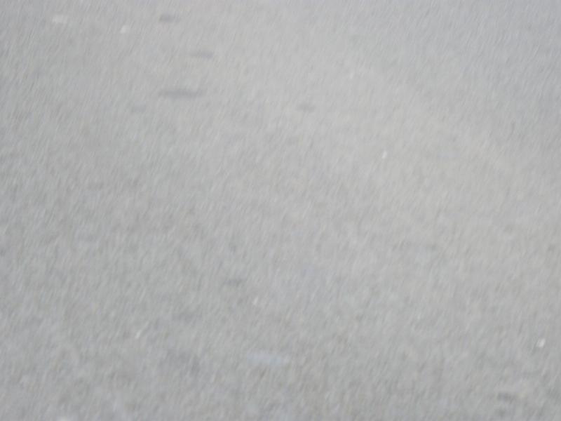 P1470033.JPG
